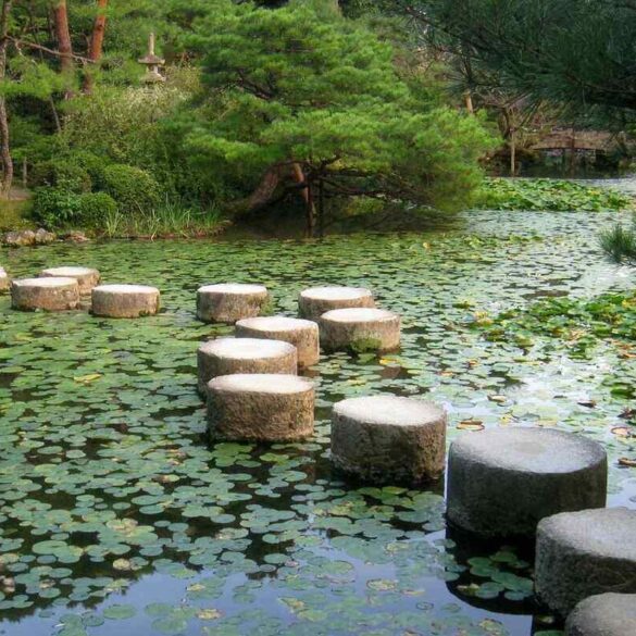 Stepping stones through a river