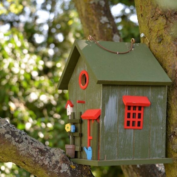 THE ESSENTIALS IN LIFE Cooler trash and the Zen of lightening your load2