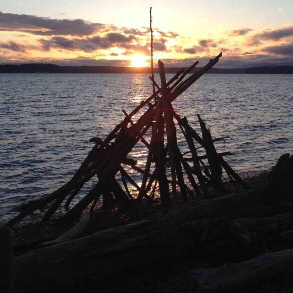 Driftwood pleasingly arranged on beach