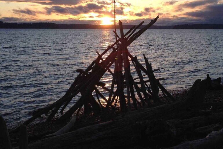 Driftwood pleasingly arranged on beach