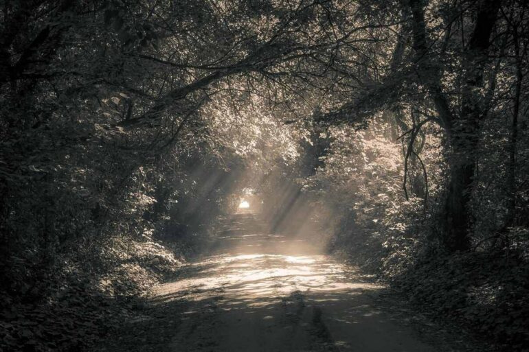 path in the woods with a light at the end