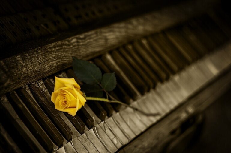 single rose on piano keys
