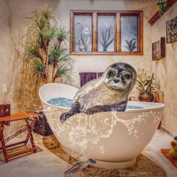 art seal in an over-flowing bath