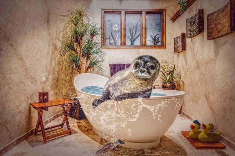 art seal in an over-flowing bath