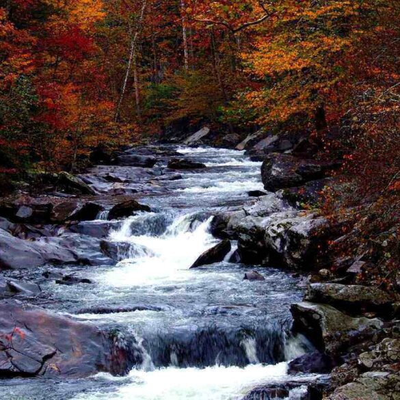waterfall in The Smoky Mountains