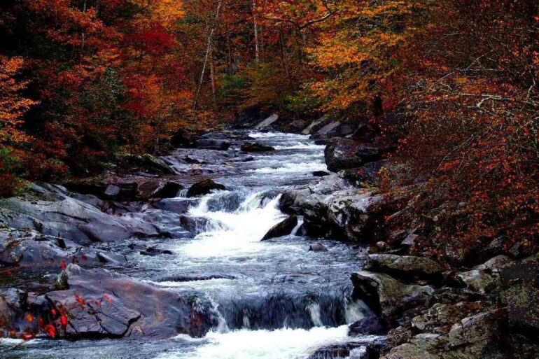 waterfall in The Smoky Mountains