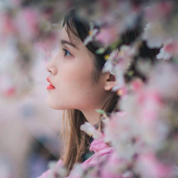 Girl with cherry blossoms, known as sakura in Japan