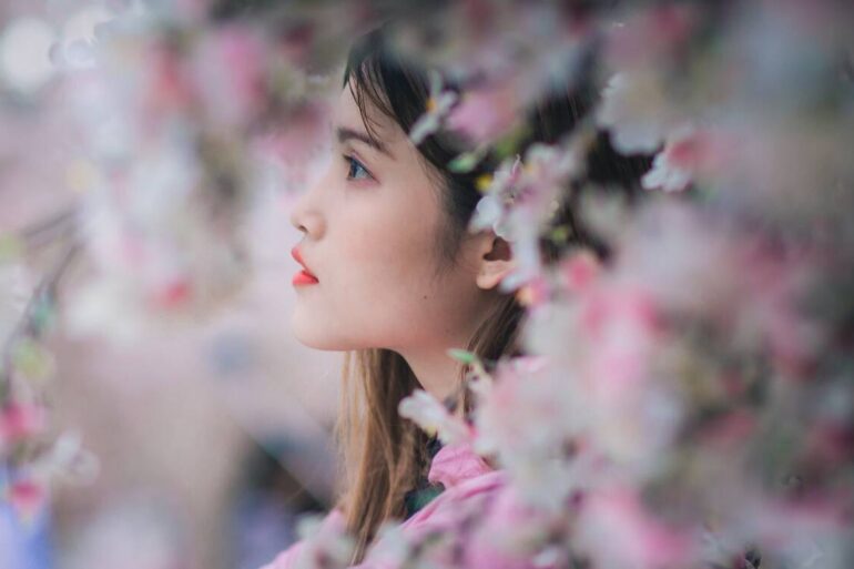 Girl with cherry blossoms, known as sakura in Japan
