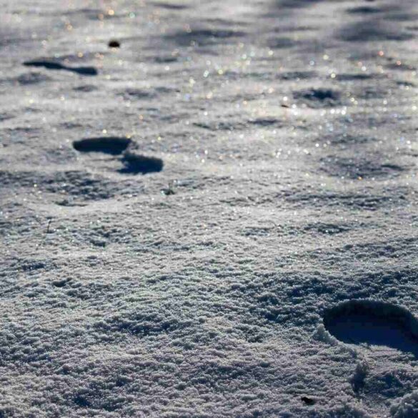 Footprints in snow