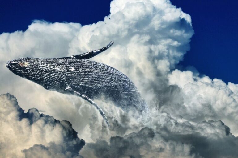 MY ESSENCE AND ME: The universal order of things 26 whale leaping through clouds
