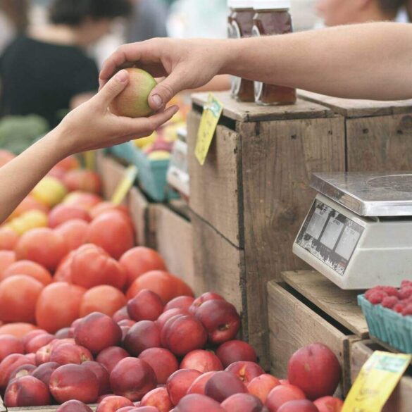 Fruit for sale at Farmers' Market