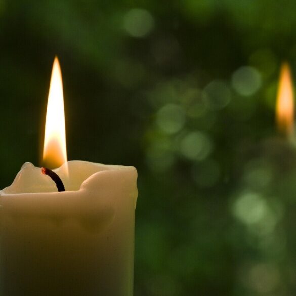 White candle against background of green plants