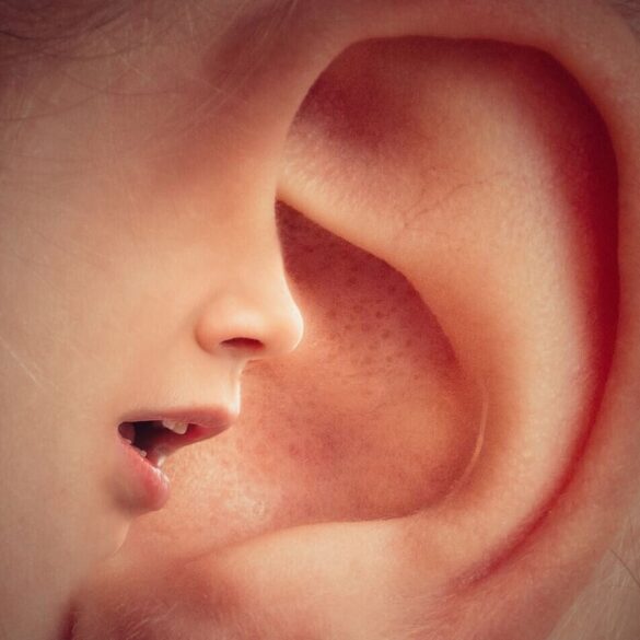 small voice whispering into large ear