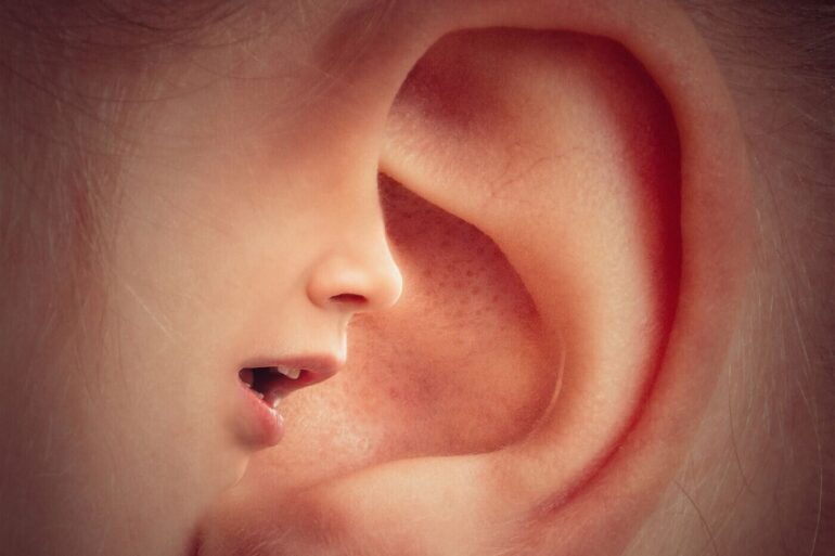 small voice whispering into large ear
