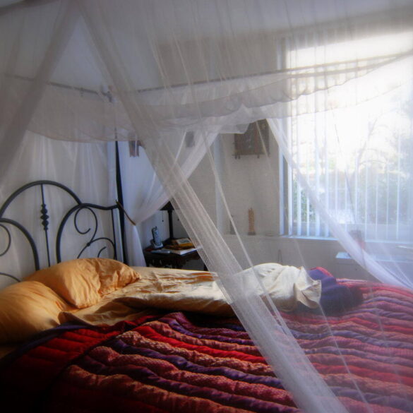 Canopy bed