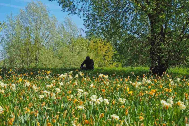 Man sitting in a field of flowers
