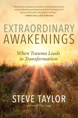 Front cover of Extraordinary Awakenings by Steve Taylor