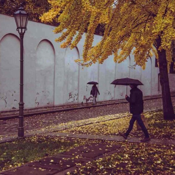 Two people walking with umbrellas in autumn