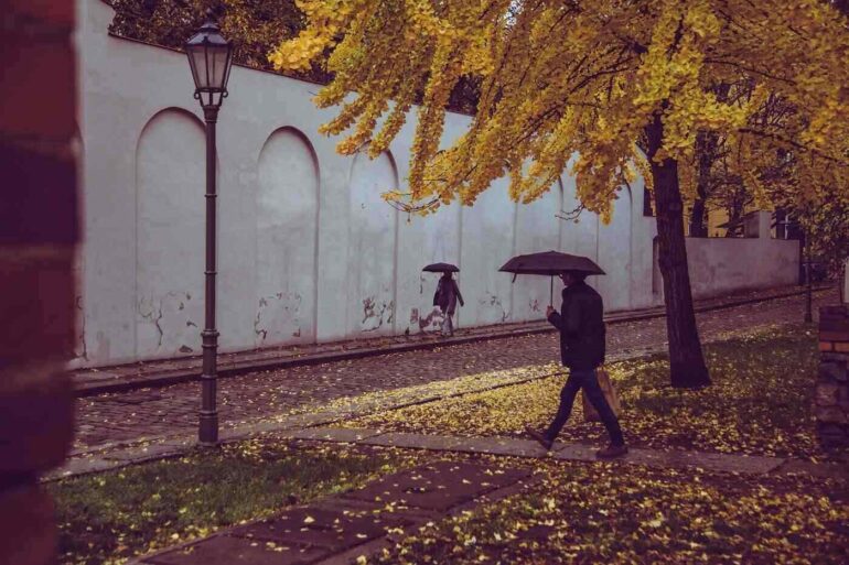 Two people walking with umbrellas in autumn