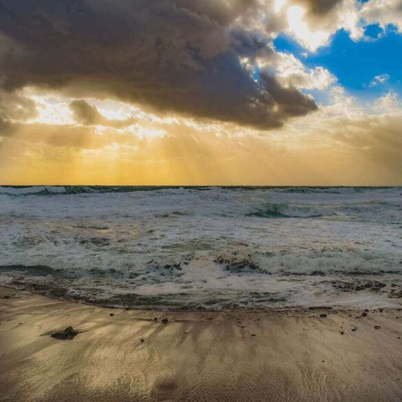 Windy beach with rain clouds overhead