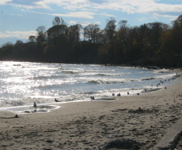Beach in Oshawa