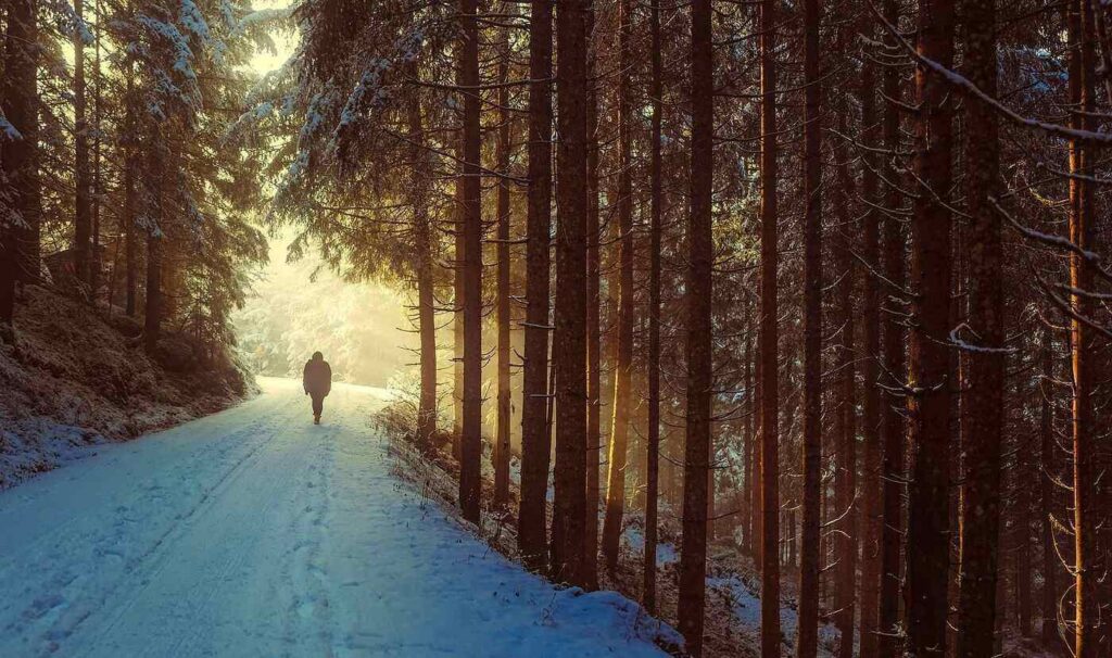 GIVE YOUR MIND A DIET AND CALMNESS WILL FOLLOW 3 Ways to gain clarity in the midst of chaos1