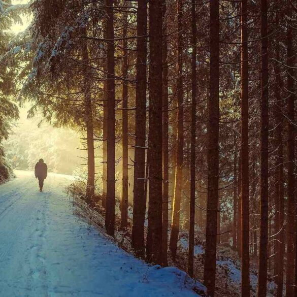 man walking in woods in winter