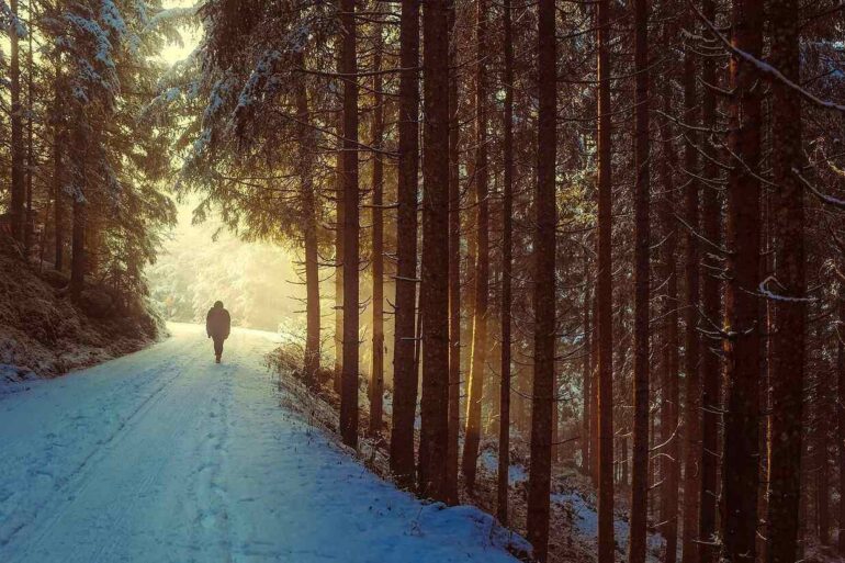 man walking in woods in winter