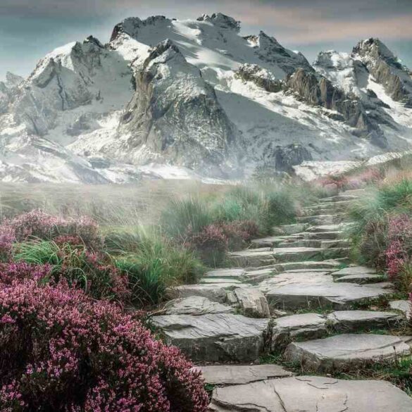 Rocky path through mountains
