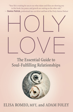 Front cover of Holy Love