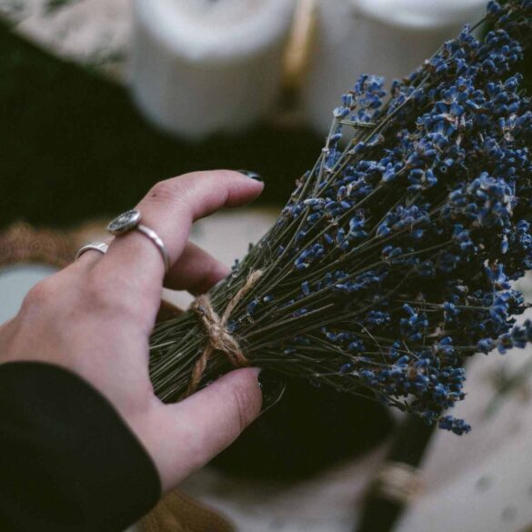 Woman's hand with lavender