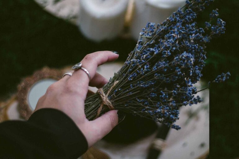 Woman's hand with lavender