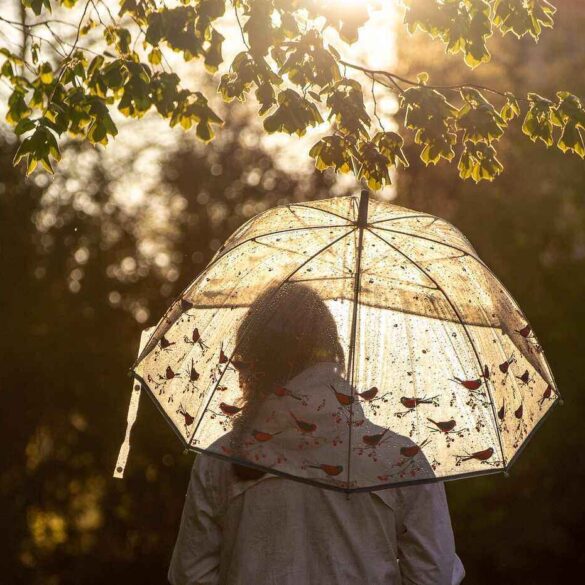 Woman with translucent umbrella
