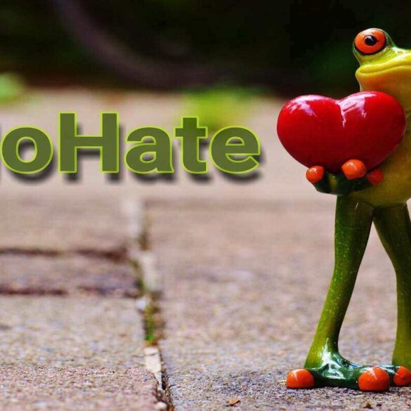 Frog holding a heart with the words no hate