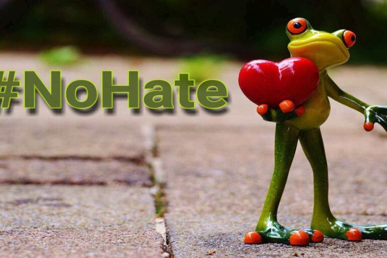 Frog holding a heart with the words no hate