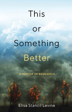 Front cover of This or Something Better by Elisa Stancil Levine Front cover of This or Something Better by Elisa Stancil Levine