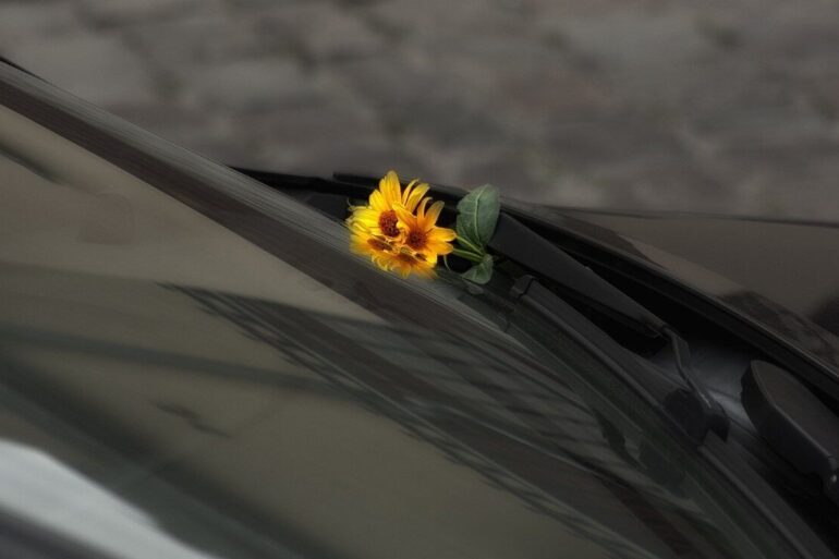 yellow flowers in a car windscreen wiper
