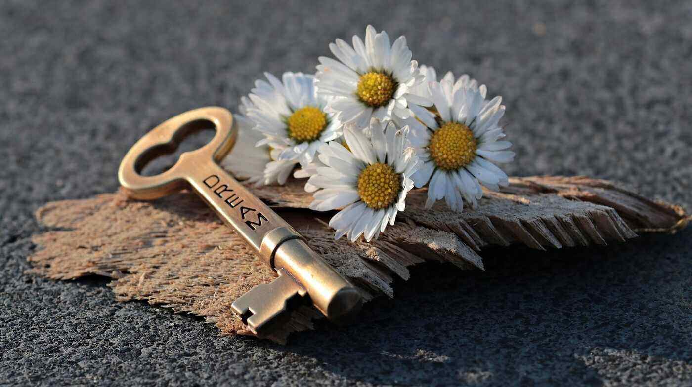 DREAMS TO WAKE UP TO: Various types of dreams and what they want to tell us 14 daisies with a key that says dream
