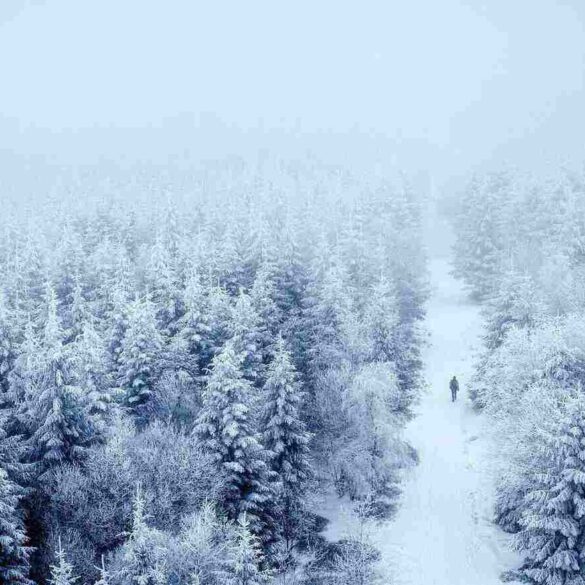 single person walking alone in a snow-filled landscape