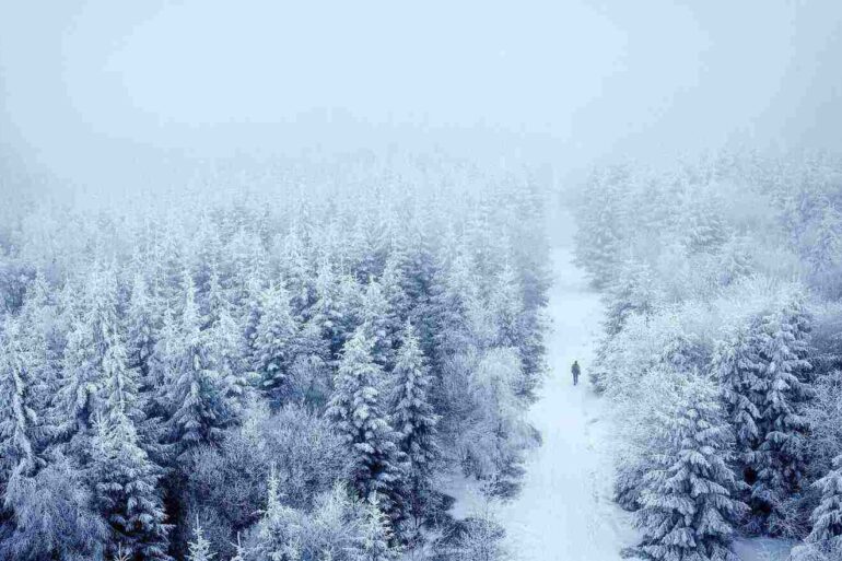 single person walking alone in a snow-filled landscape
