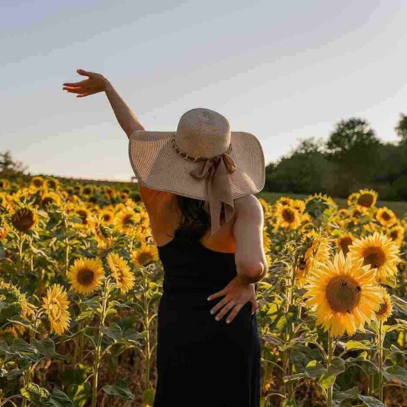 woman in a field of sunflowers