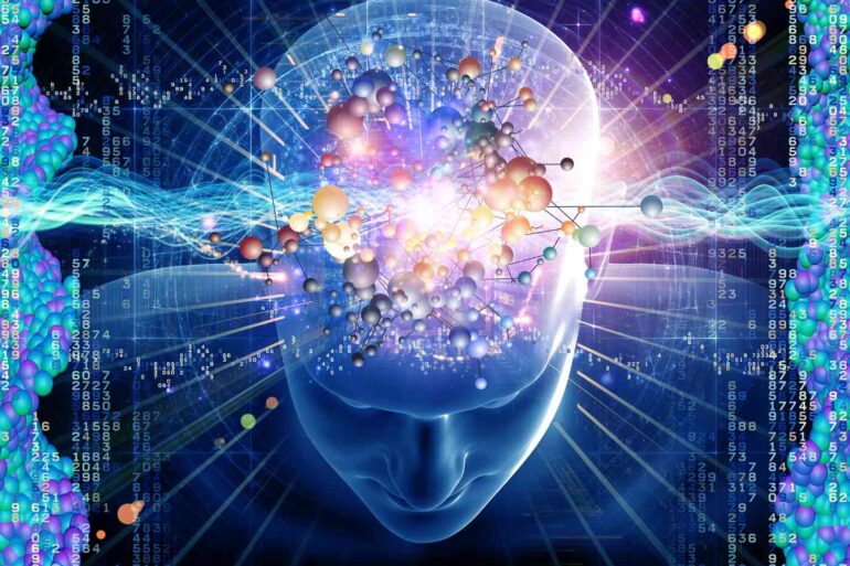 Person's brain