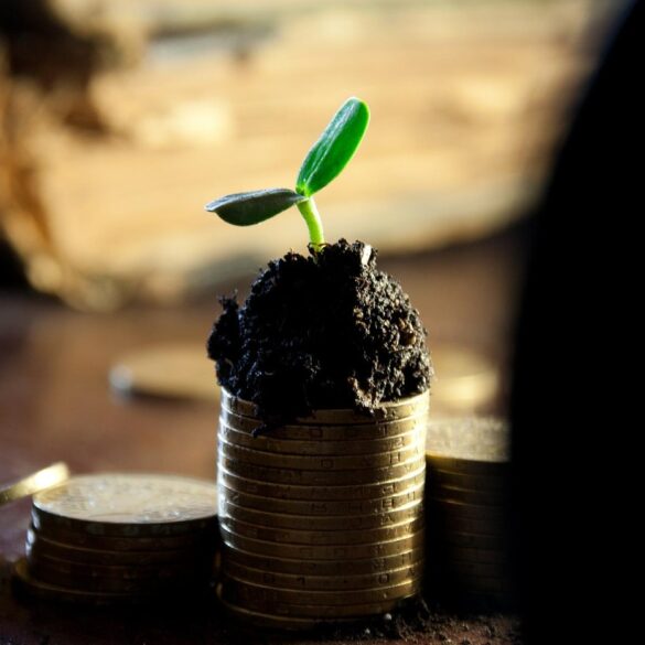Stack of coins with plant growing out of them