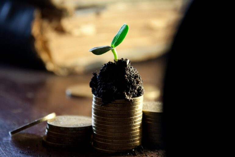 Stack of coins with plant growing out of them