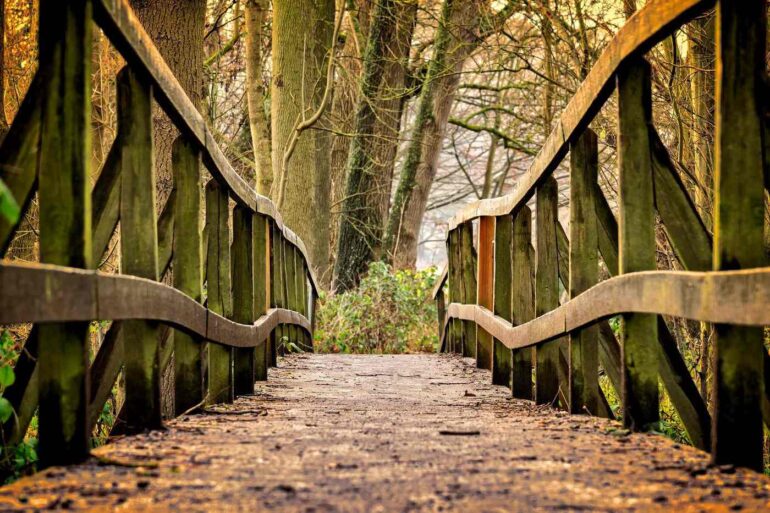Bridge with wavy wooden rails - LIVING AND DYING WITH CANCER: The year the world changed