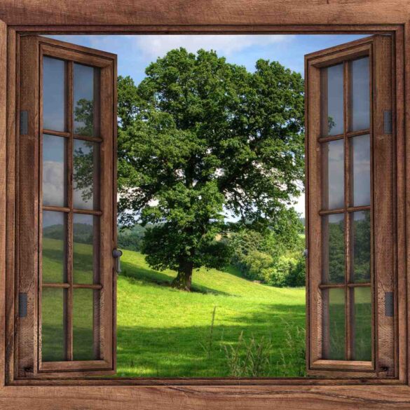 View of tree through window - 5 Poems, Including "Mystery Guest" and "Tupelo"