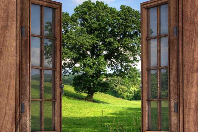 View of tree through window - 5 Poems, Including "Mystery Guest" and "Tupelo"