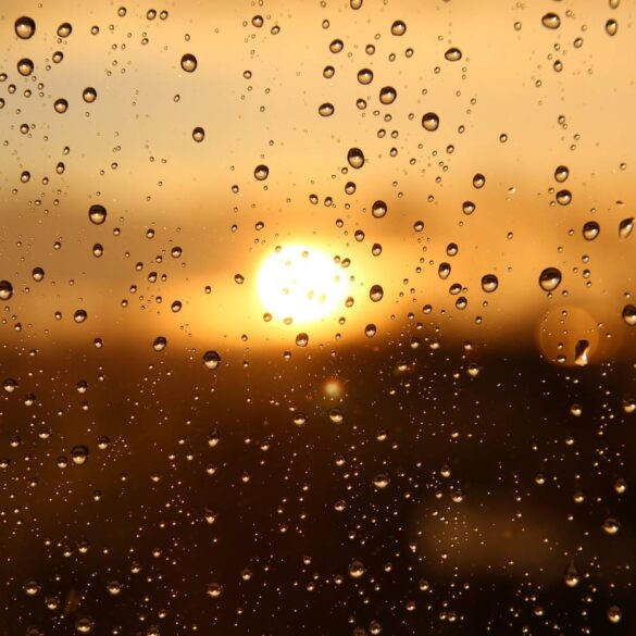 Rain-covered window with sun peeking through - 3 Poems, Including "We Are the Sky" and "The Door to My Mind"