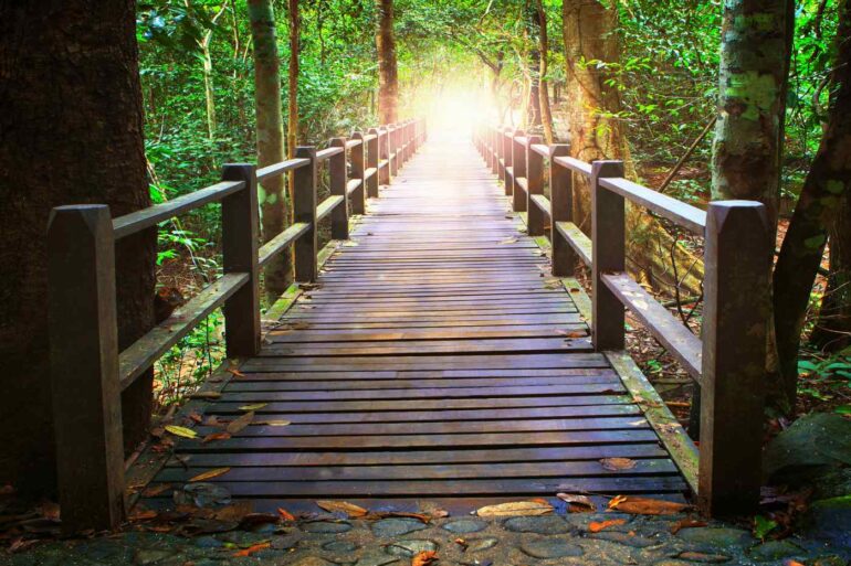 Illuminated bridge as path through forest - SYMPHONY OF THE UNIVERSE: 9 poems and parables