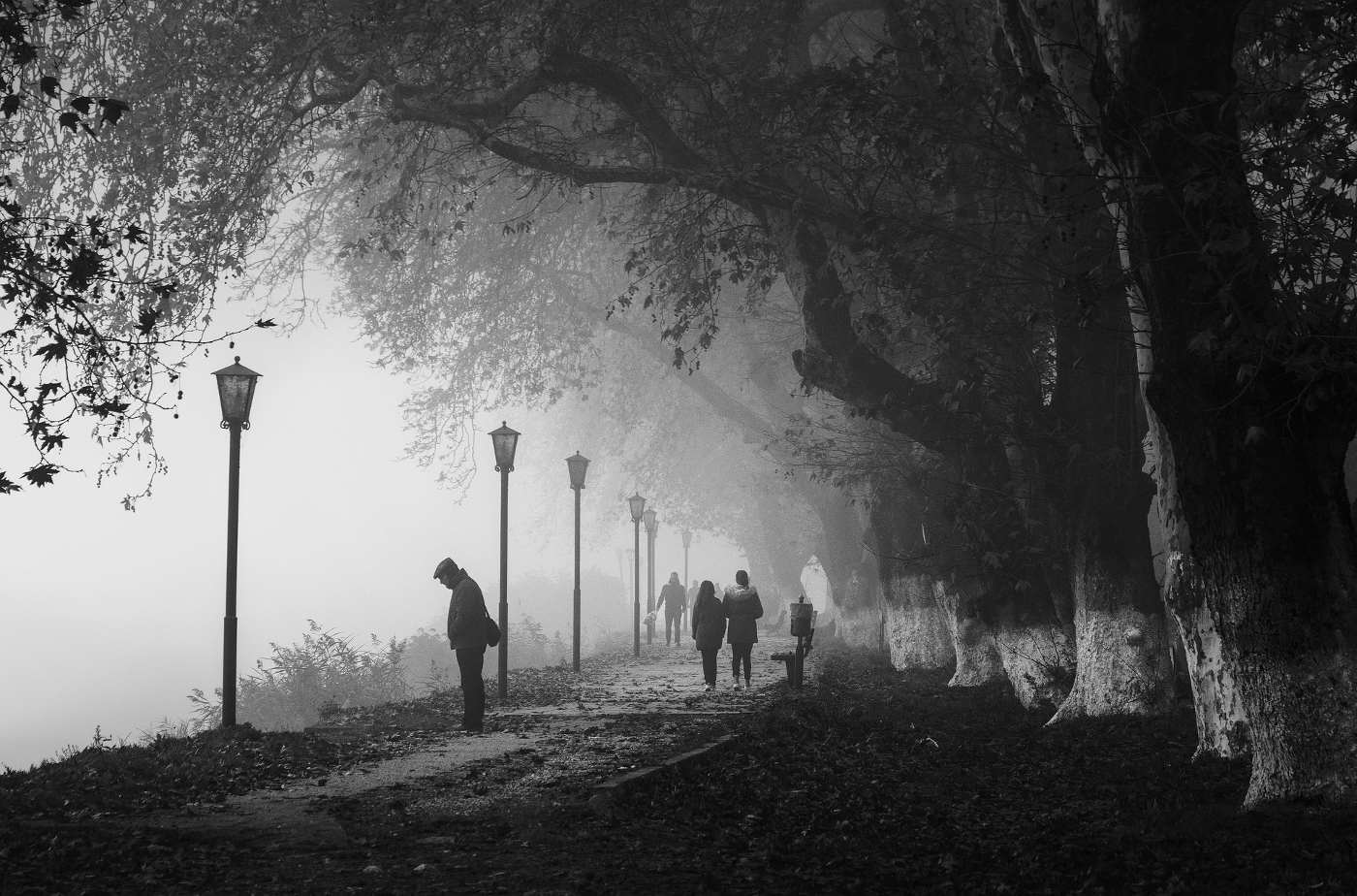 POEMS BY JOHN GREY: In My Younger Days, The Park in Stages and more 13 Greyscale image of people walking in park - 5 Poems, Including "In My Younger Days" and "The Park in Stages"